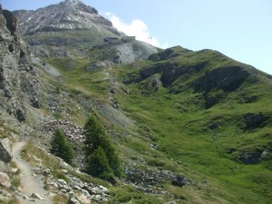 marmot trail 2